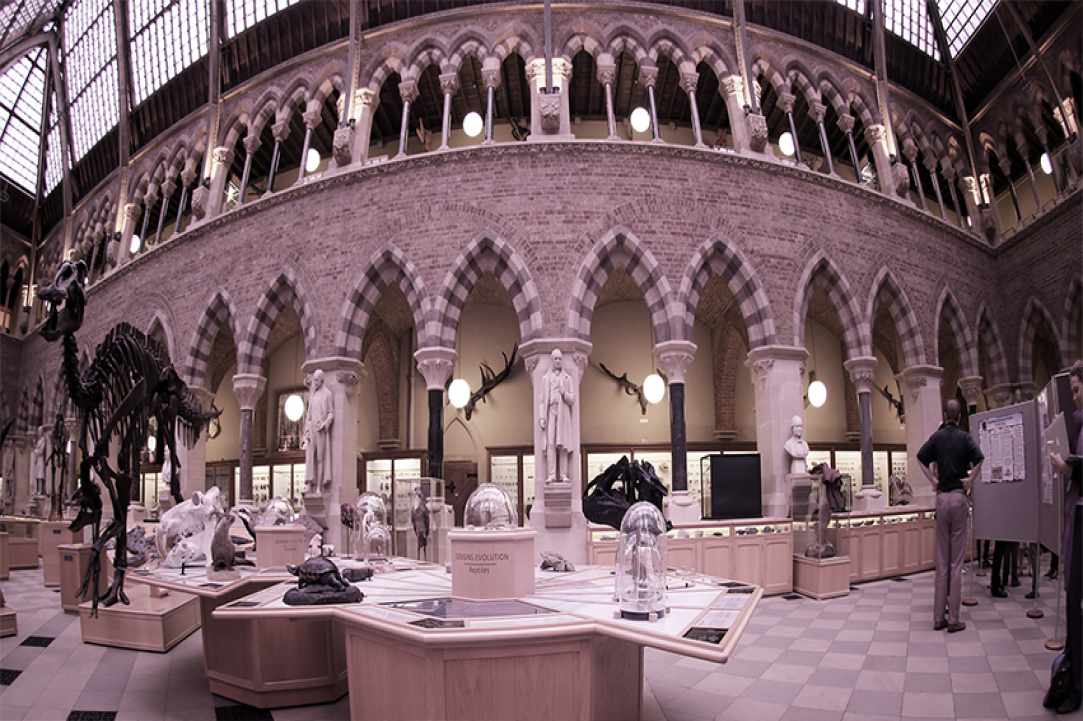Art and Science: Uncovering the Gem Within Artworks - keynote presentation: Dr Michel Menu 