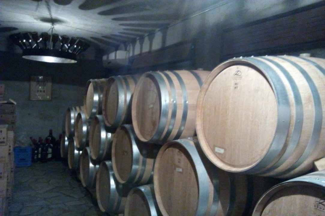 The Cyprus Wine Club