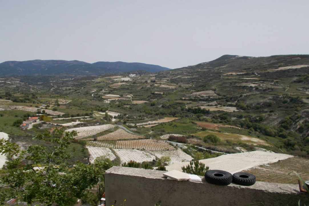 The Cyprus Wine Club