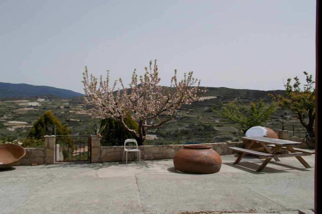 The Cyprus Wine Club
