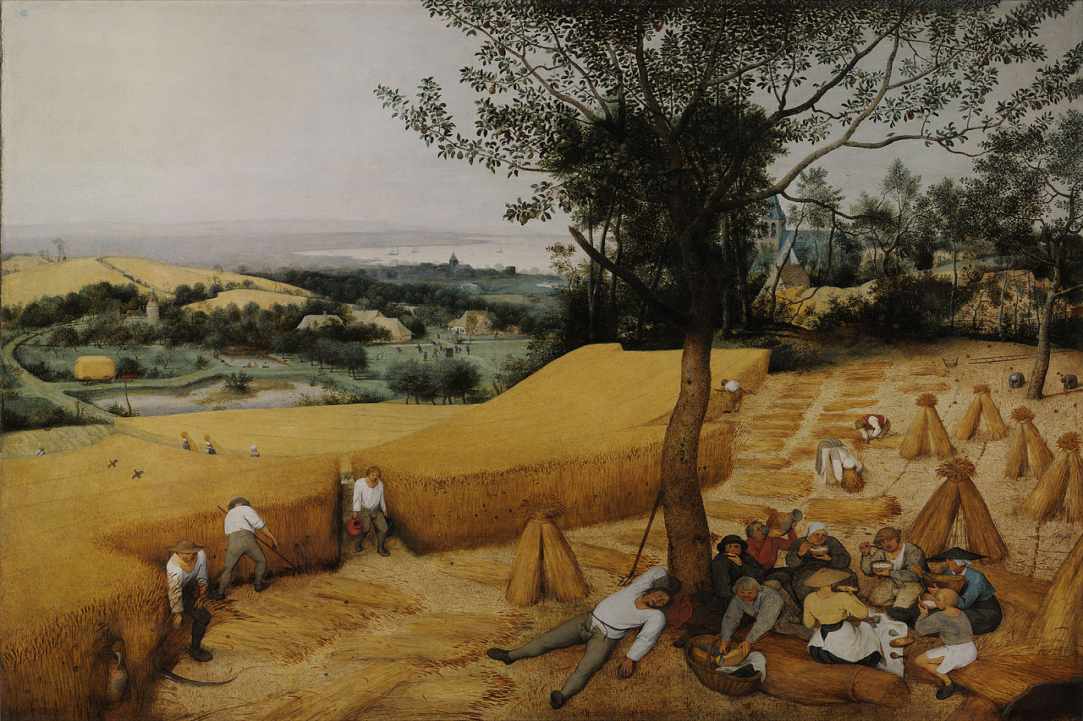 Who are the Cypriots?                  Where did they come from?                                 What are the specifics of their gene pool?