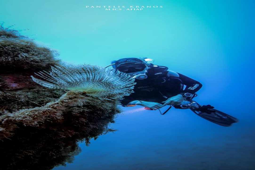 The Alexandria Wreck Cyprus