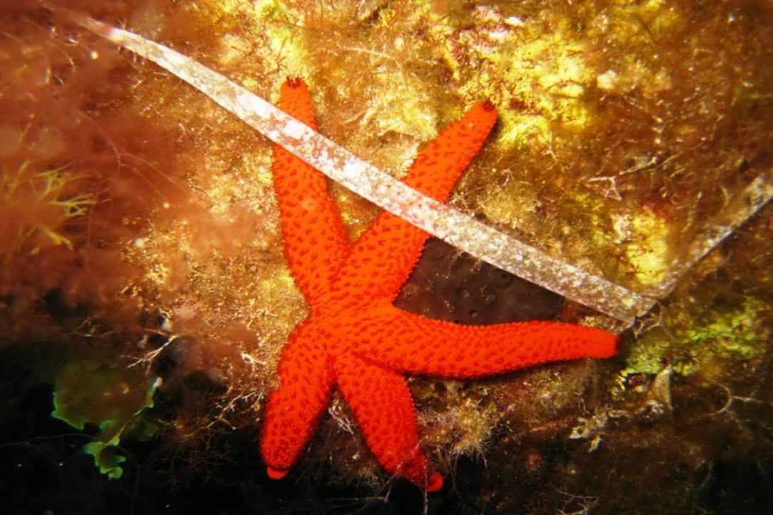 November dive in Cyprus