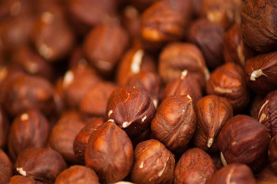 Η Πλατανιστάσα ετοιμάζεται για την καθιερωμένη  «Γιορτή της Φουντουκιάς»!