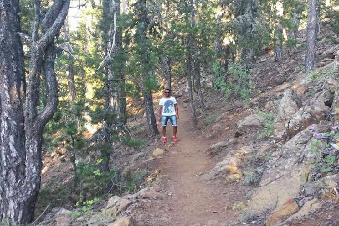 Nature Trail Artemis 