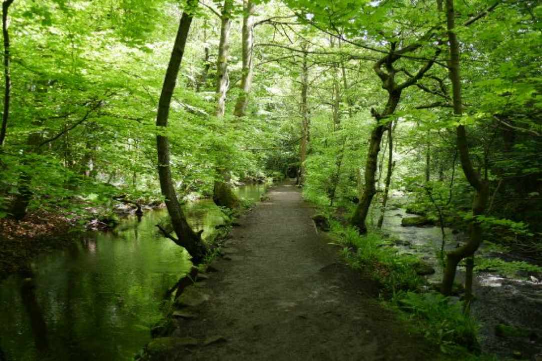 Nature Walk With LMCG: Kritou Terra Waterfall