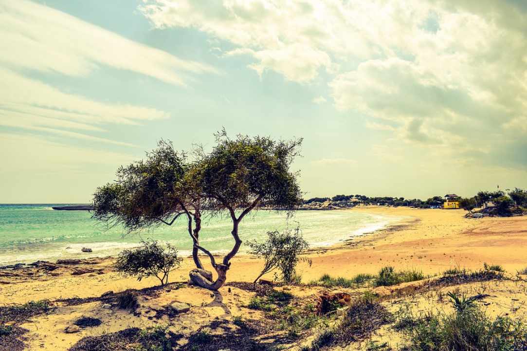 Some facts and numbers about Cyprus gallery image 4