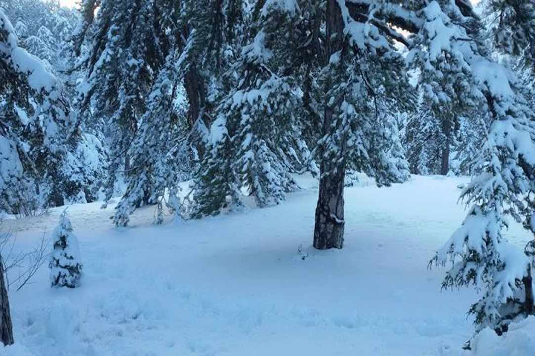 Troodos