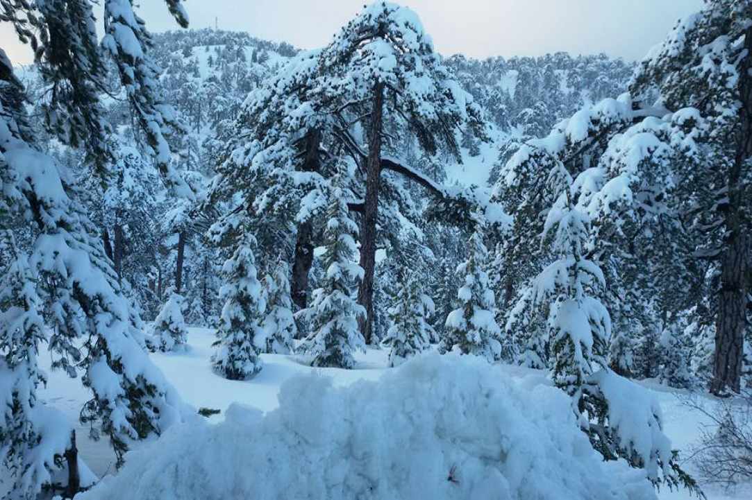 Troodos