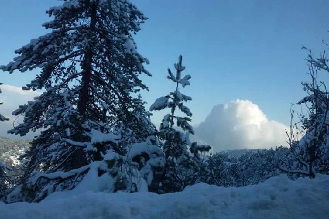 Troodos
