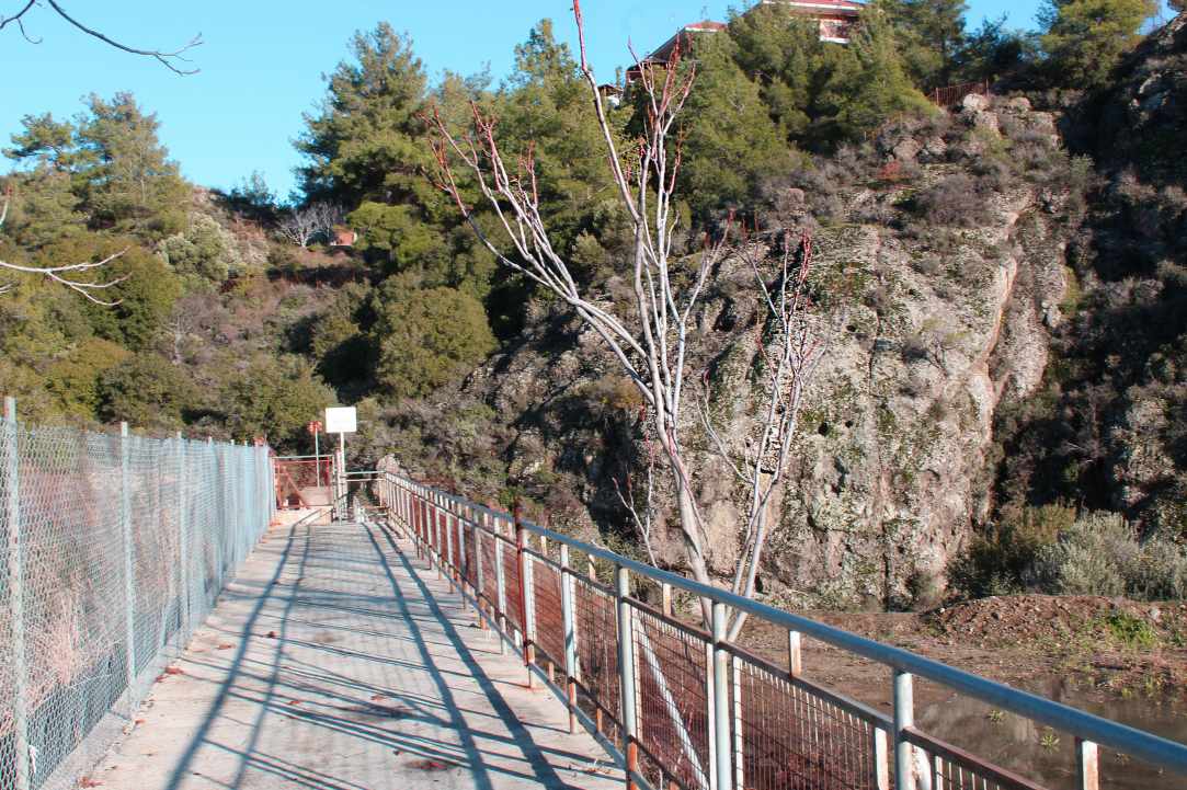 Dam Trimiklinis - Saittas