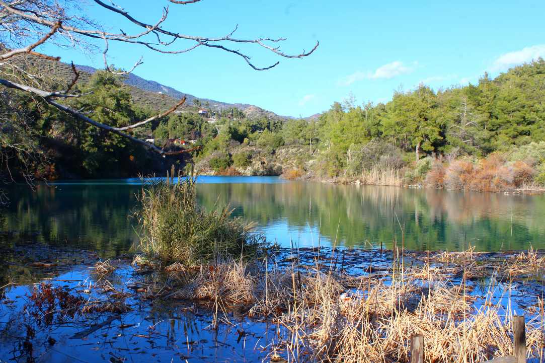 Dam Trimiklinis - Saittas