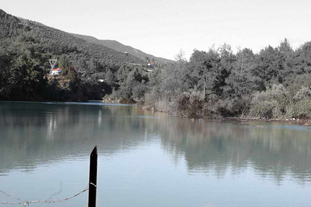 Dam Trimiklinis - Saittas