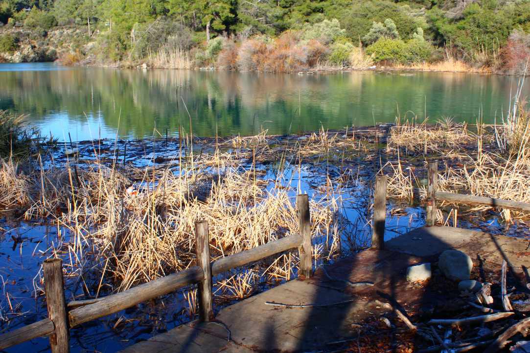 Dam Trimiklinis - Saittas