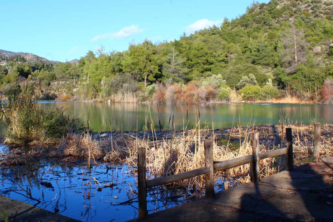 Dam Trimiklinis - Saittas