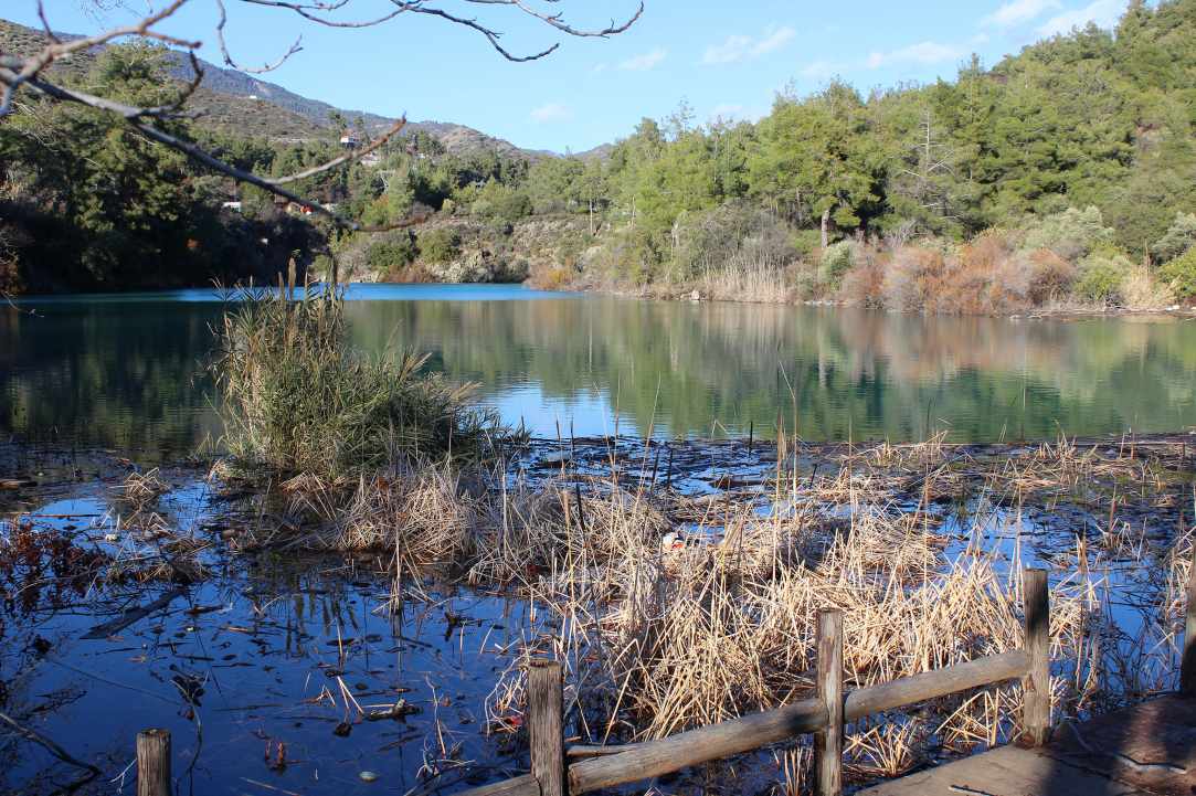 Dam Trimiklinis - Saittas