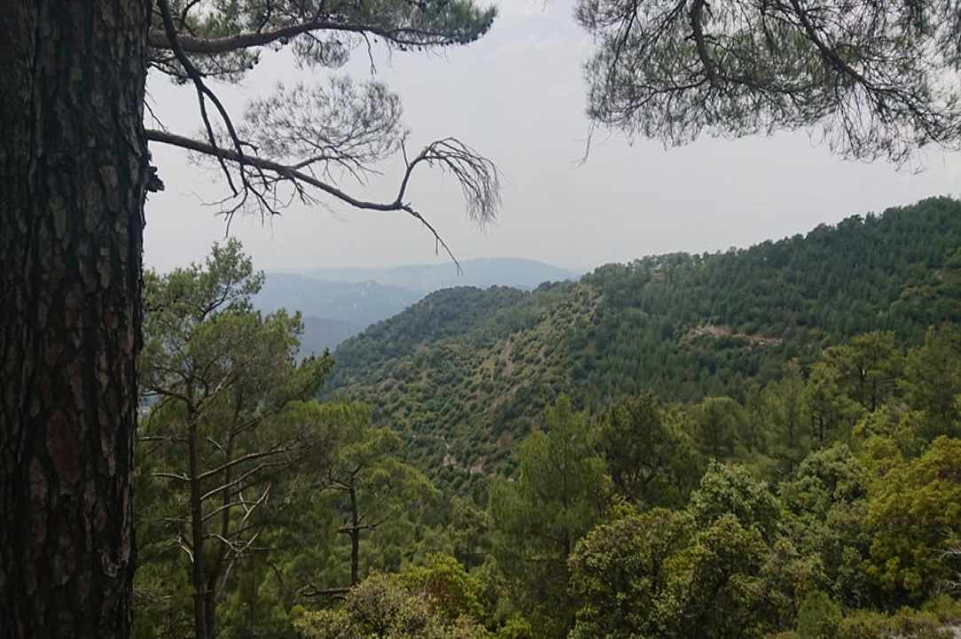 Τρόοδος: Μοναδικό παγκόσμιο γεωλογικό φαινόμενο
