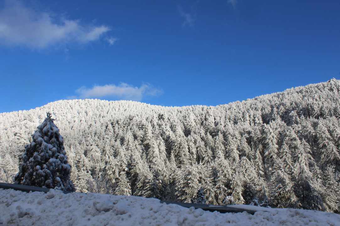 Snowy Mountains of Troodos