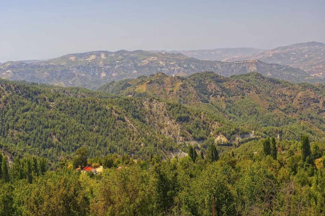 Troodos gallery image 1