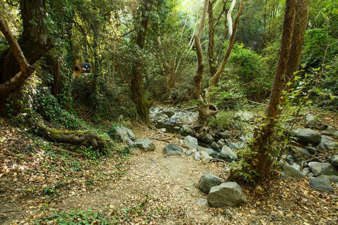 Camping and walking in Troodos
