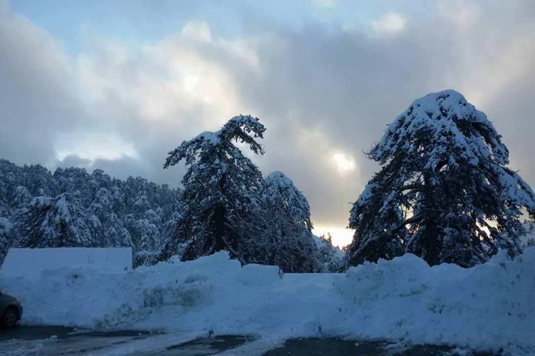 Troodos gallery image 4