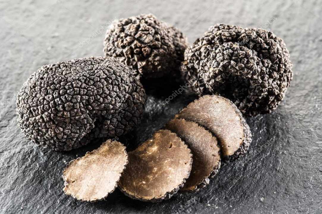 The black truffle