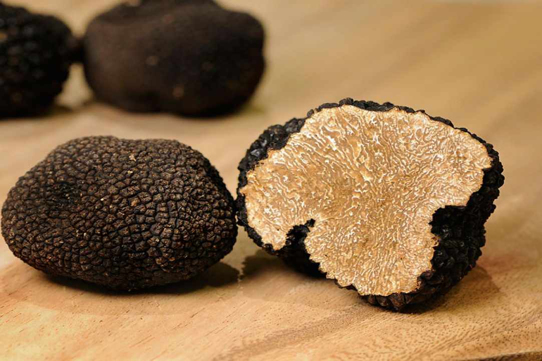 The black truffle