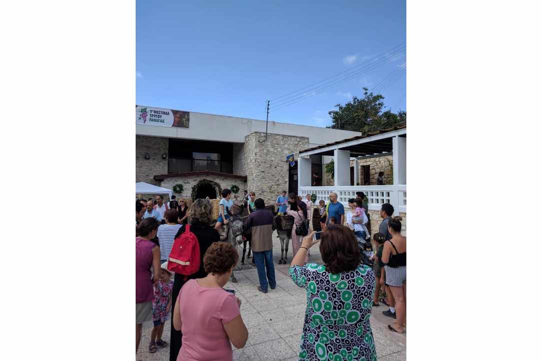 2nd Vine Harvest Festival of Panagia village
