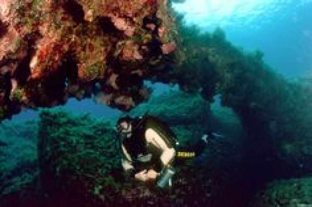 Dive site  at Cyprus