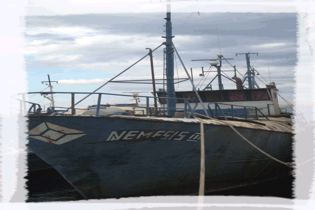 Nemesis Wreck 