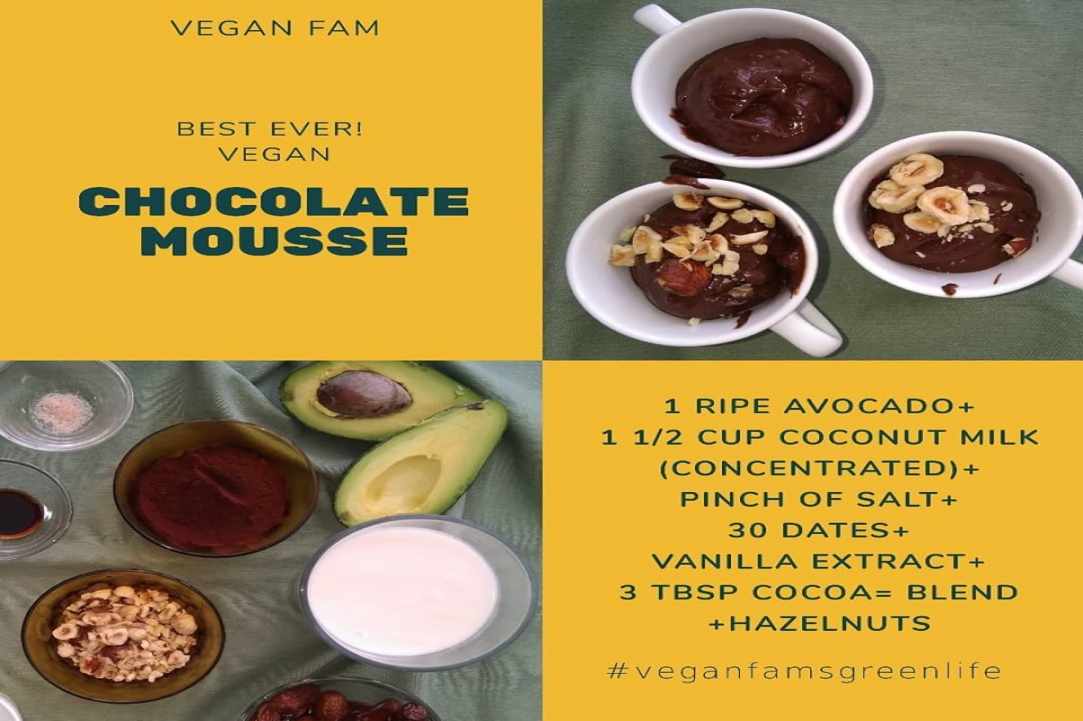 1st Vegan Fam Festival