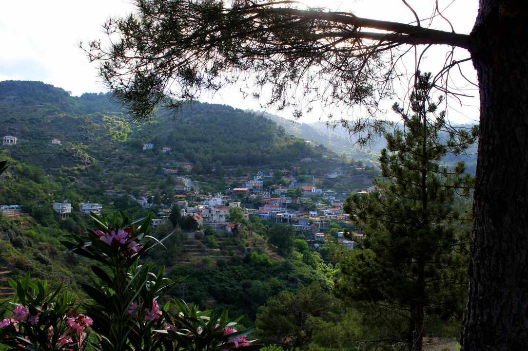Polistipos Village 