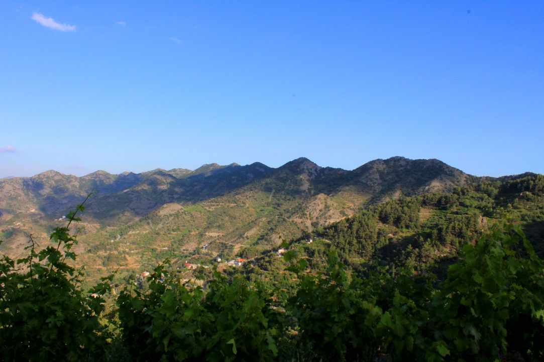 Polistipos Village 