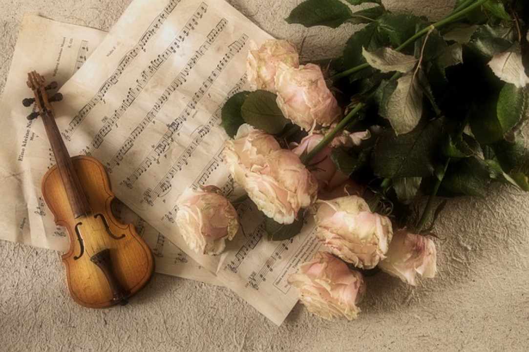 Andre Rieu's 2019 Maastricht Concert - Shall we Dance?