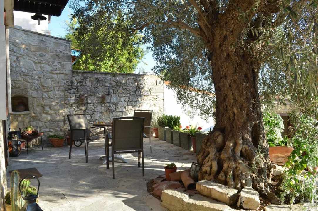 Vouni, a significant wine village since ancient times