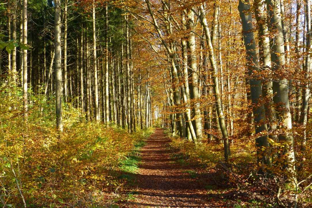 Bicycle routes -  Larnaka and Red Soil Villages