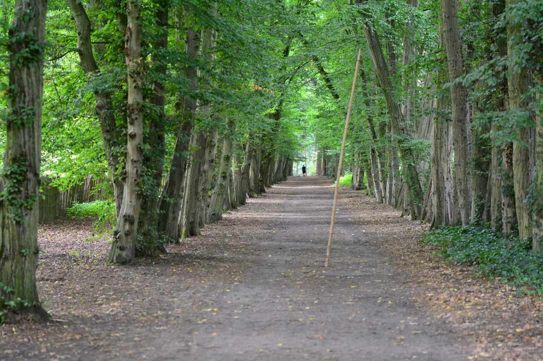 Bicycle routes -  Larnaka and Red Soil Villages