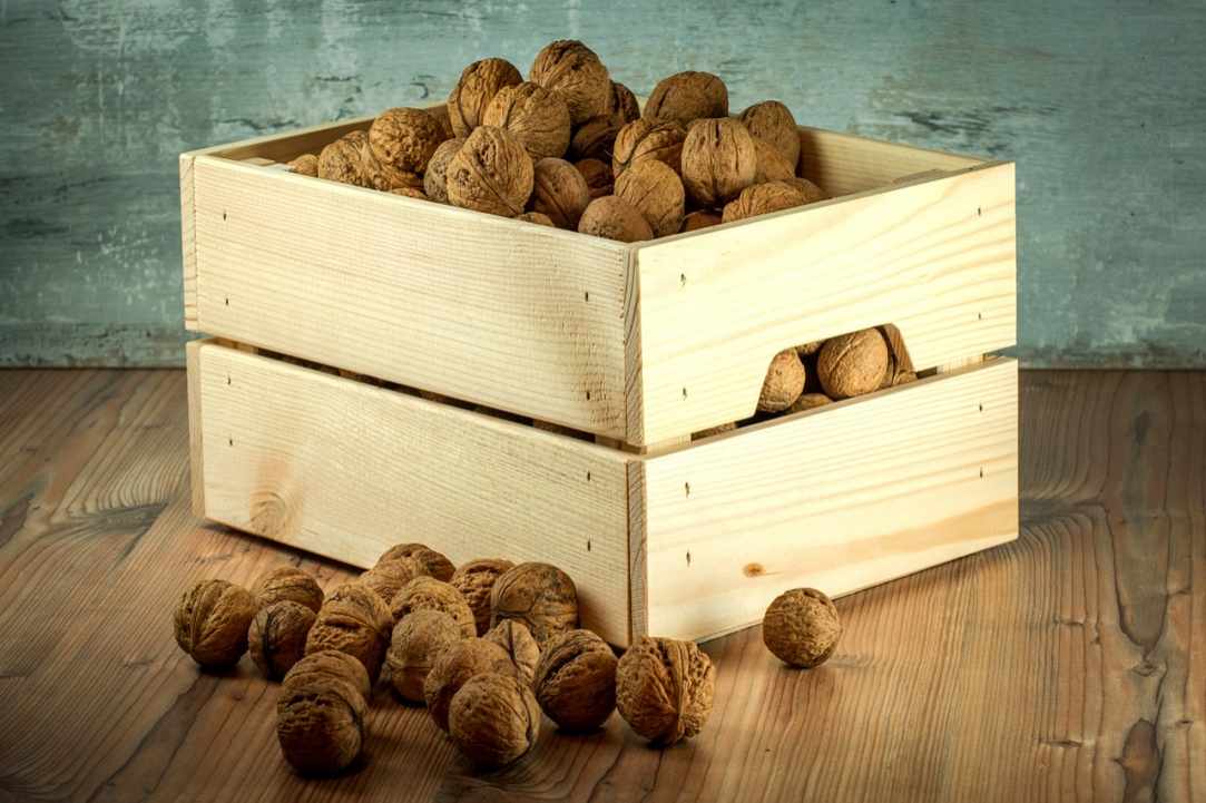 Διατροφή και θυρεοειδής