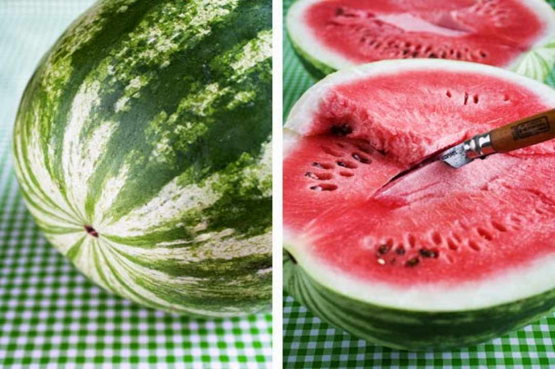 Watermelon – our favorite summer fruit
