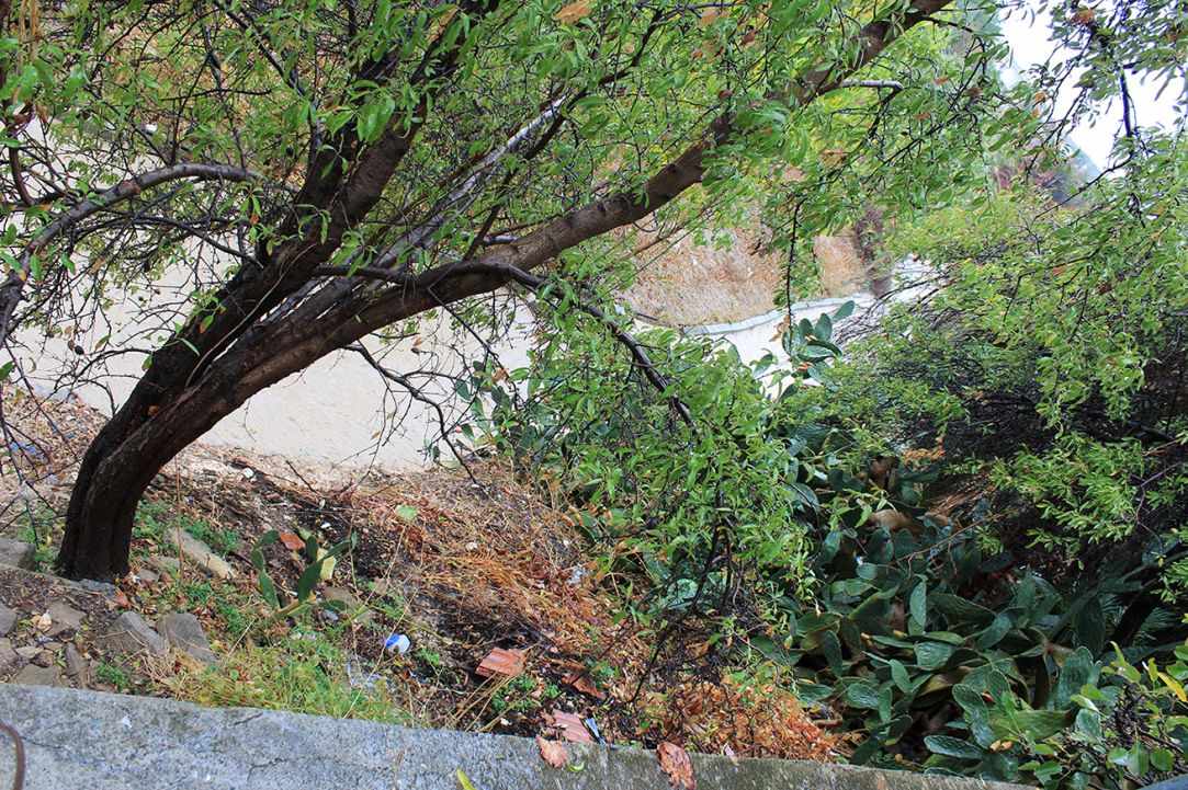 The waterway of Ayia Phyla in winter