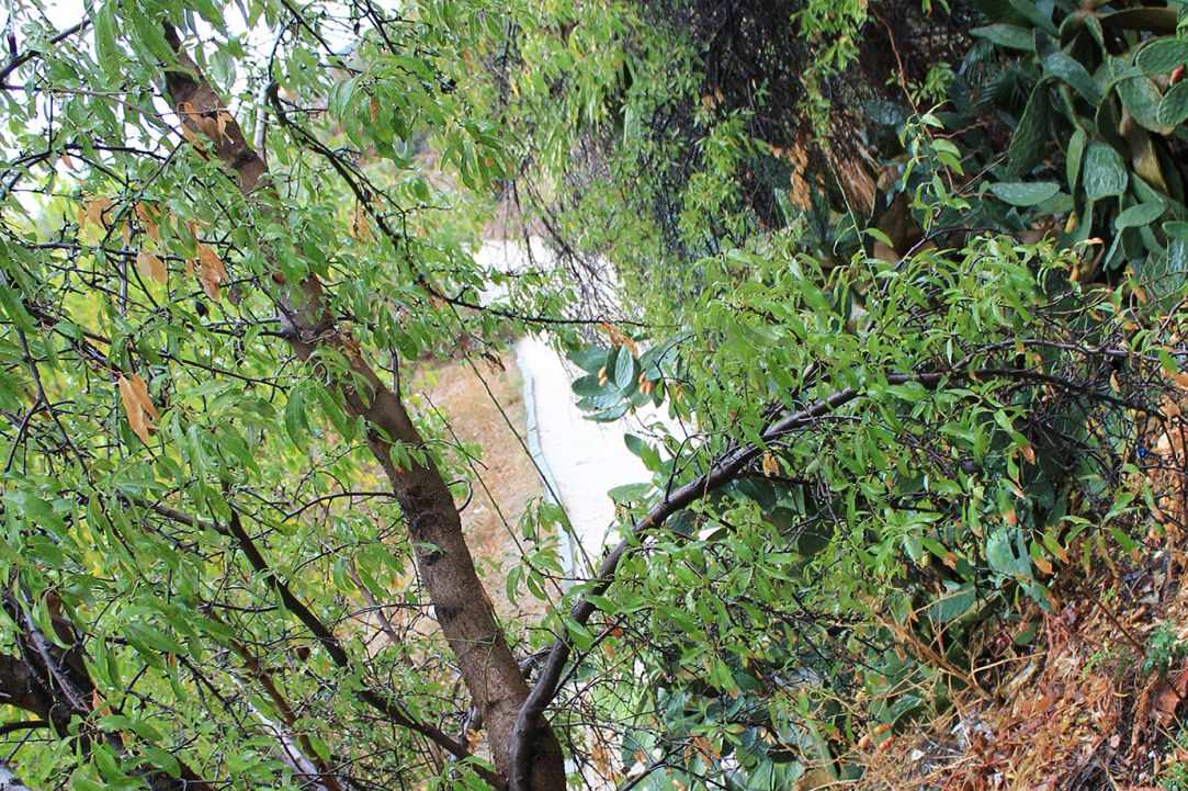 The waterway of Ayia Phyla in winter