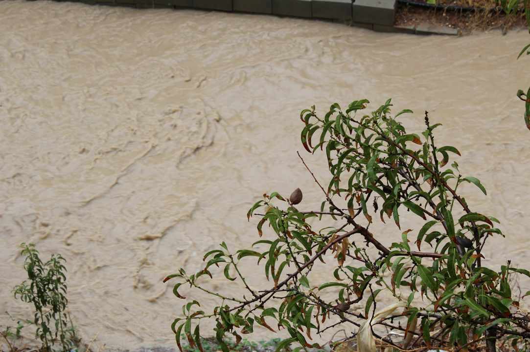 The waterway of Ayia Phyla in winter