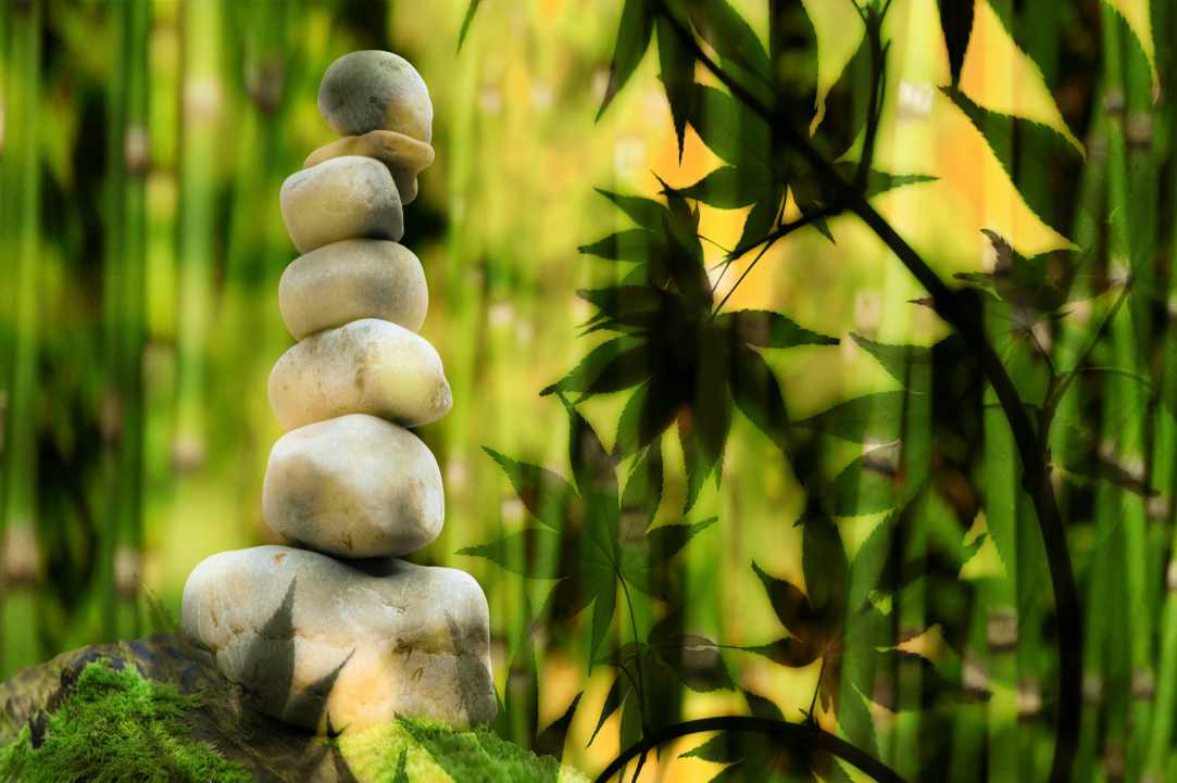 How mental health affects our overall health