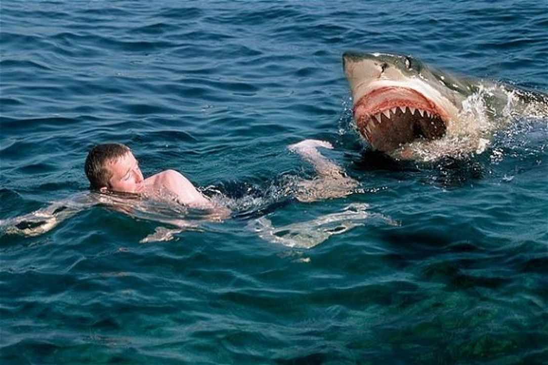 How dangerous scuba diving Is?