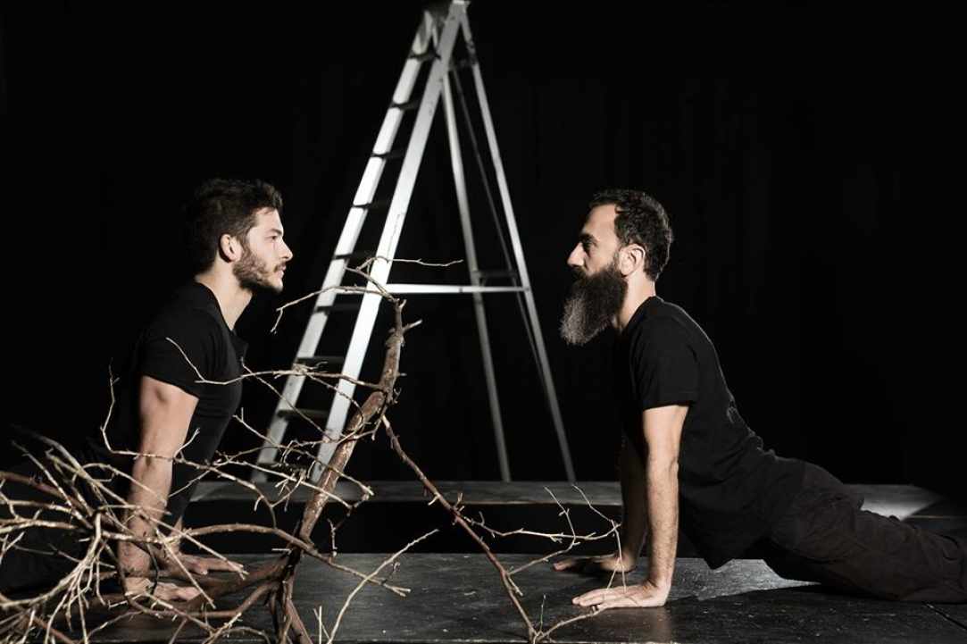 Medea Experiment