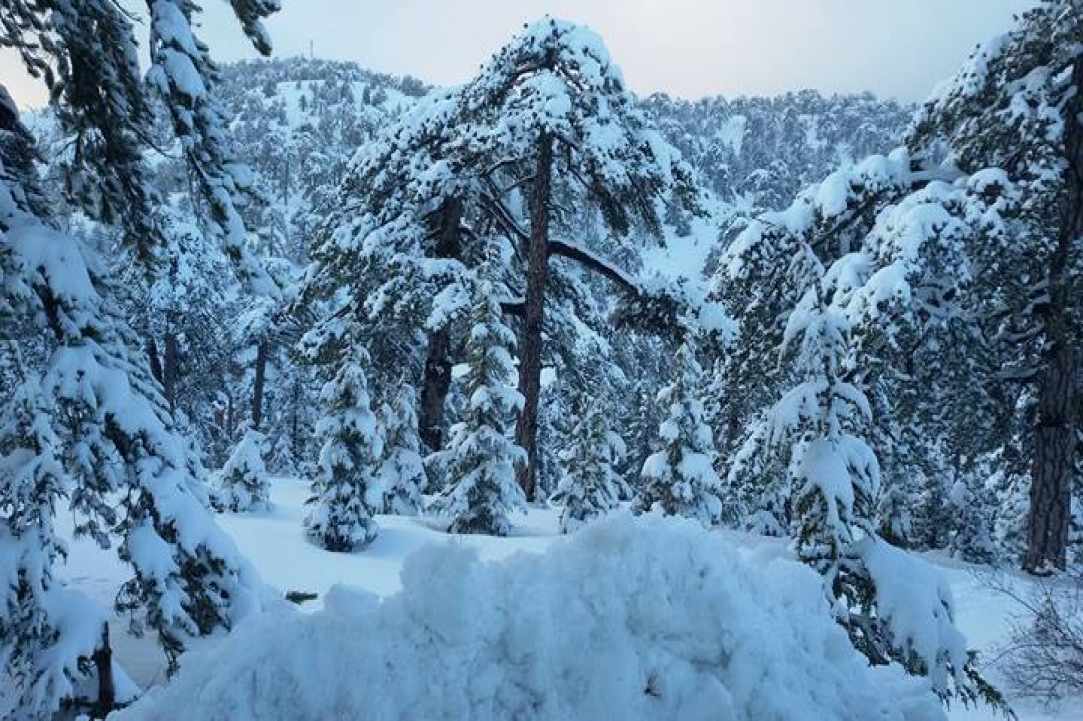 Troodos gallery image 3