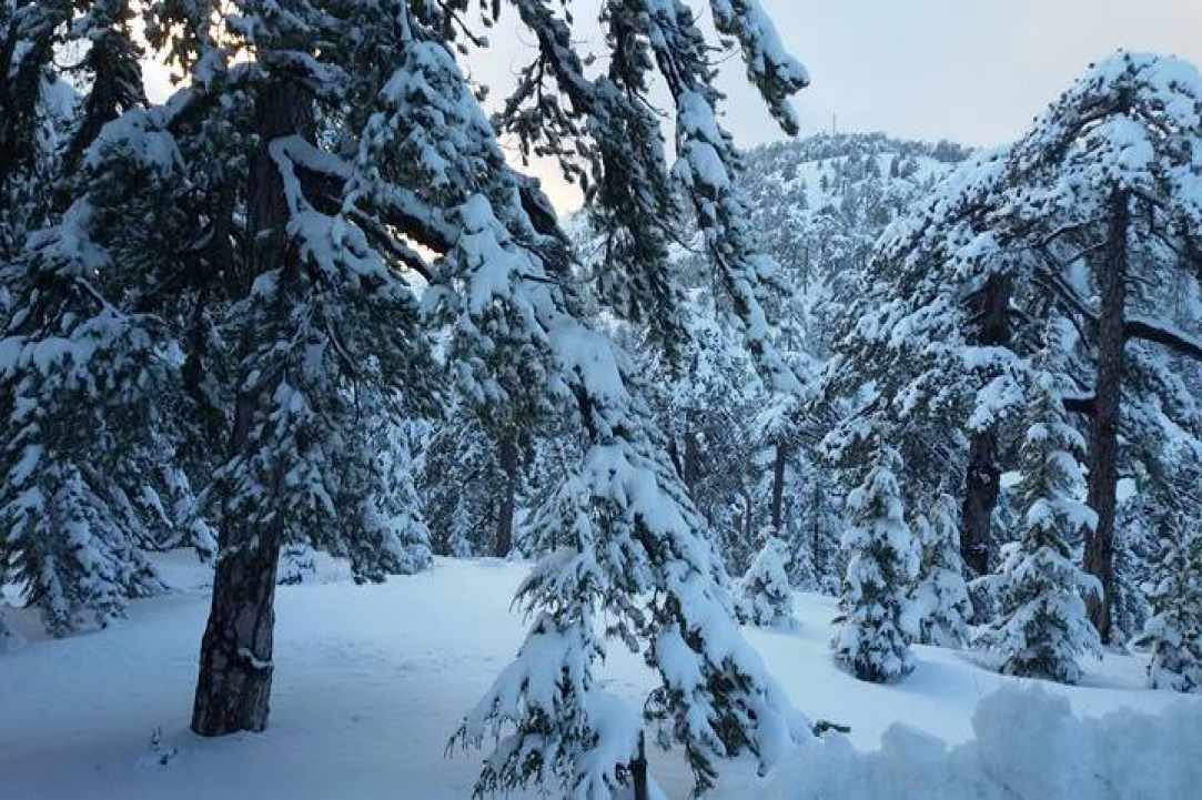 Troodos gallery image 2