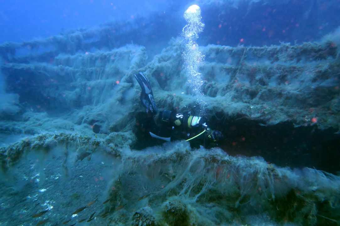 Fun Dive