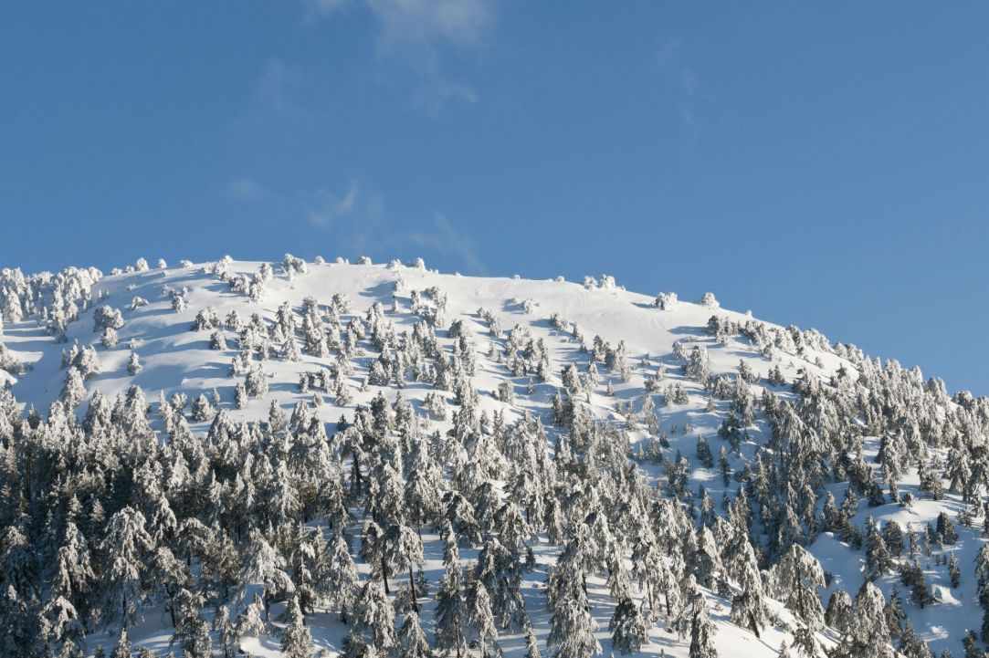 Winter in Cyprus gallery image 3