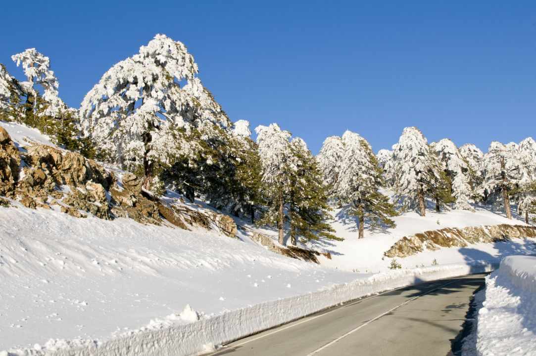Winter in Cyprus gallery image 1